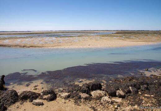 20220531-03 2648-Passage du Gois