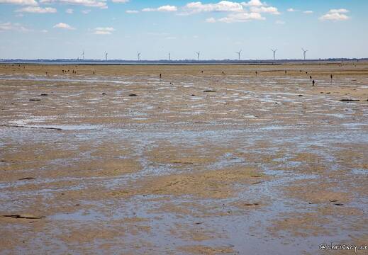 20220531-06 2654-Passage du Gois