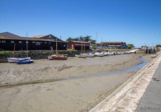 20220531-19 2678-Noirmoutier en l ile