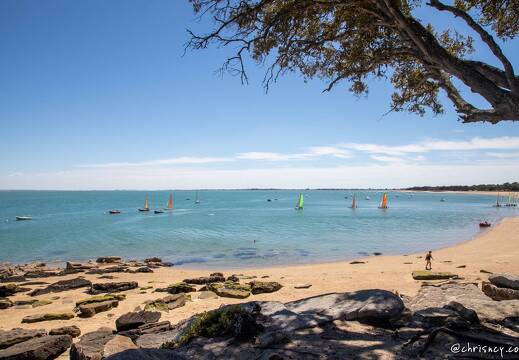 20220531-25 2697-Noirmoutier en l ile Plage des Sableaux