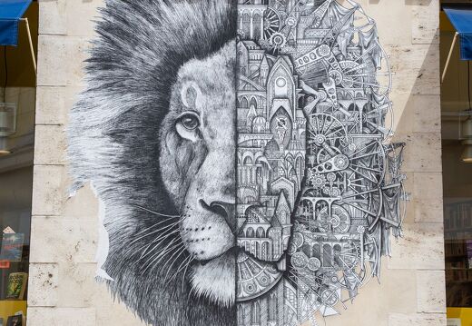 20220524-053 2222-Orleans Vieille ville