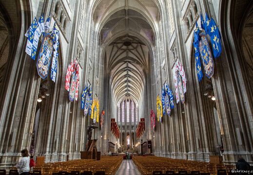 20220524-066 2232-Orleans Cathedrale Sainte Croix