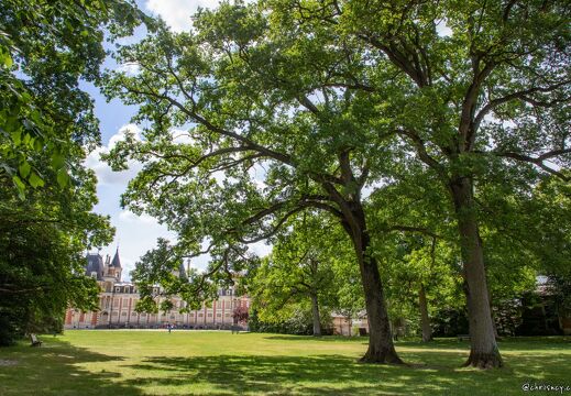 20220524-123 2320-Saint Jean de Braye Chateau de Charbonniere Chene