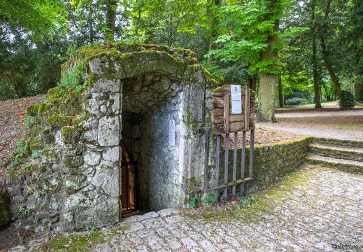 20220526-15 2480-Meung sur Loire