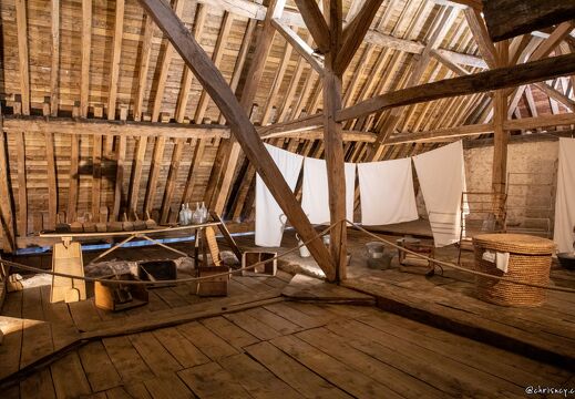 20220526-38 2510-Meung sur Loire