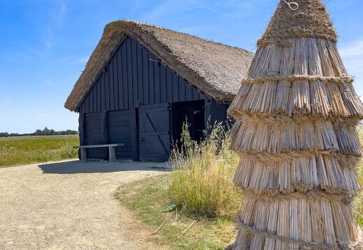 20220601-2197-Ecomusee le daviaud marais breton