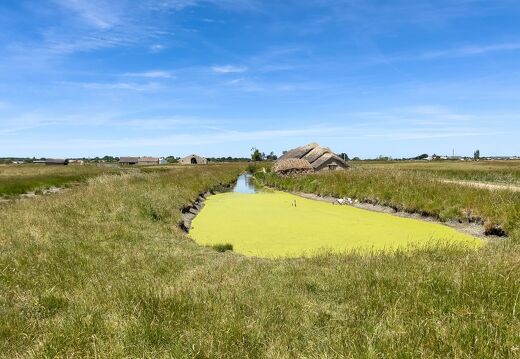 20220601-2212-Ecomusee le daviaud marais breton