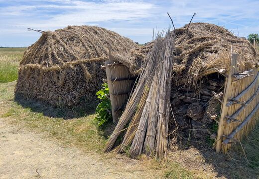 20220601-2216-Ecomusee le daviaud marais breton