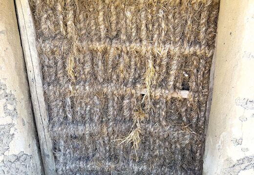 20220601-2223-Ecomusee le daviaud marais breton