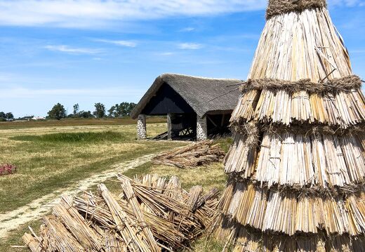 20220601-2225-Ecomusee le daviaud marais breton