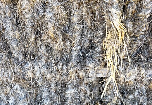 20220601-2224-Ecomusee le daviaud marais breton