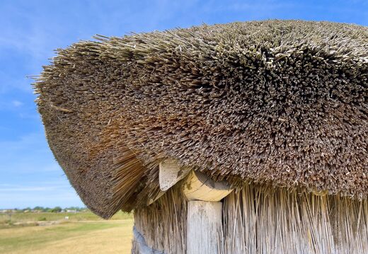 20220601-2228-Ecomusee le daviaud marais breton