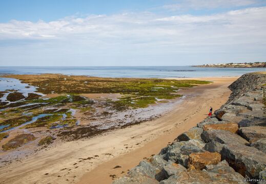 20220602-2754-Bretignolles sur mer