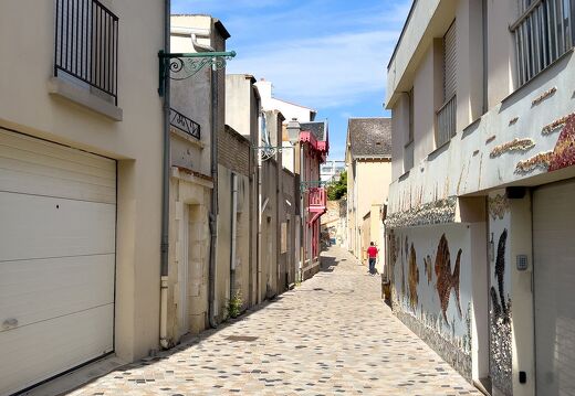 20220602-2354-Les Sables d Olonne ile penotte