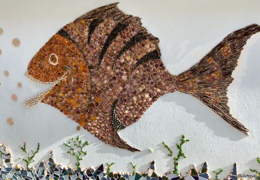 20220602-2356-Les Sables d Olonne ile penotte