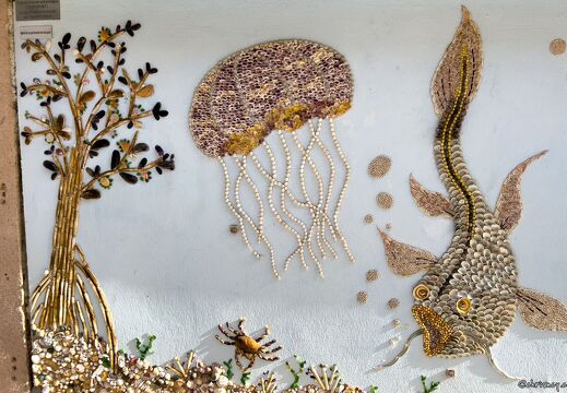 20220602-2361-Les Sables d Olonne ile penotte