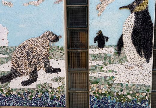 20220602-2364-Les Sables d Olonne ile penotte