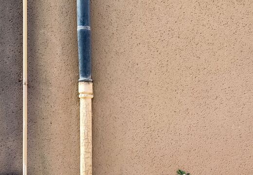 20220602-2365-Les Sables d Olonne ile penotte