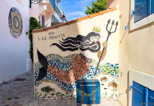 20220602-2373-Les Sables d Olonne ile penotte