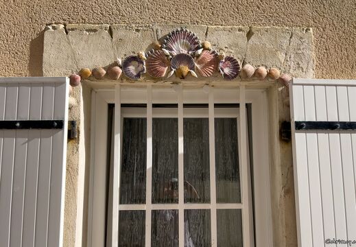 20220602-2372-Les Sables d Olonne ile penotte