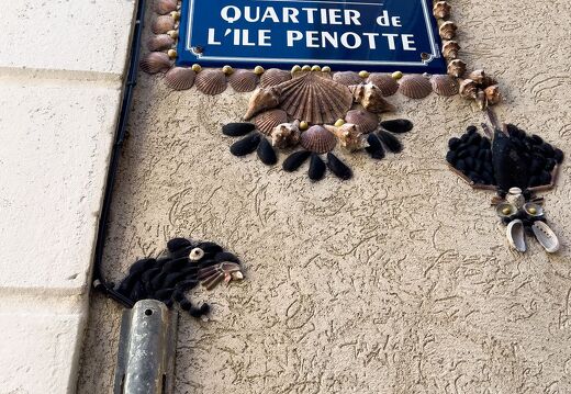 20220602-2378-Les Sables d Olonne ile penotte