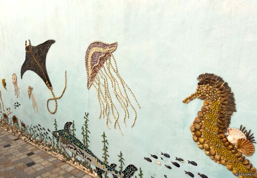 20220602-2379-Les Sables d Olonne ile penotte