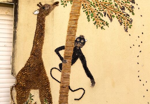 20220602-2387-Les Sables d Olonne ile penotte