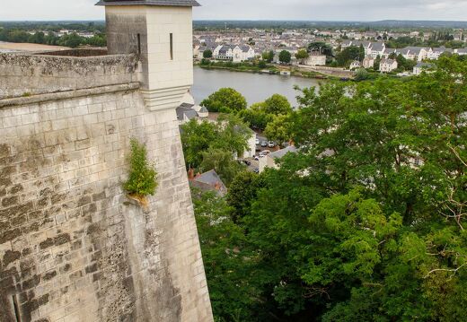 20220602-20 2841-Saumur