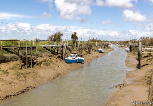 20240428-64 1888-Marennes la Cayenne sur la Seudre