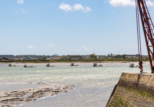 20240428-70 1899-Marennes la Cayenne sur la Seudre