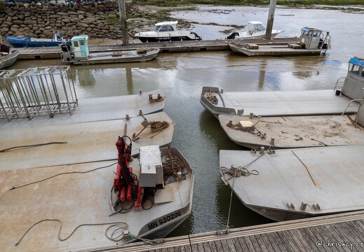 20240428-77 1913-La Tremblade la greve sur la Seudre