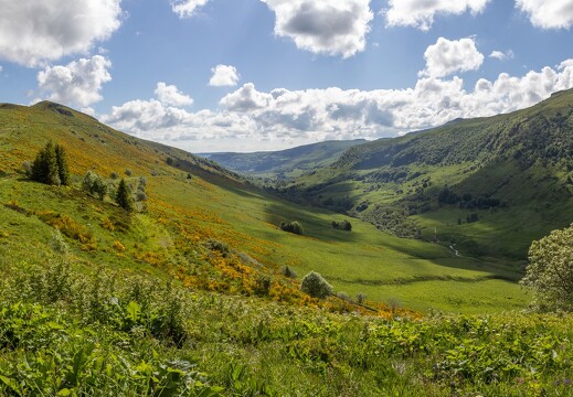 20240612-015 2939-Au col de Serre Pano