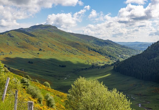 20240612-022 2953-Impradine