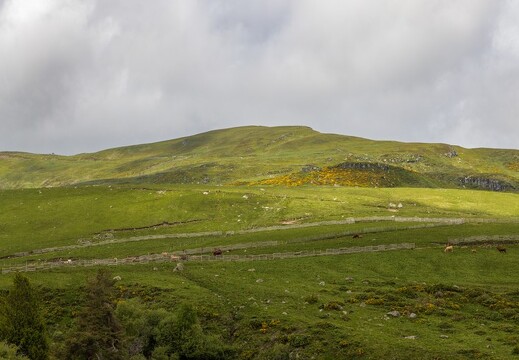 20240615-27 3344-Le Plomb du Cantal vu de Prat de Bouc Pano
