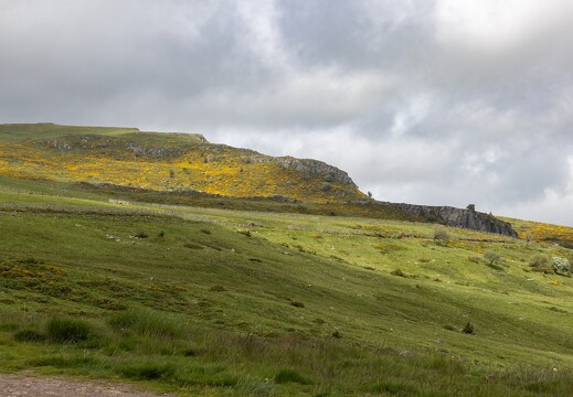 20240615-31 3363-Le Plomb du Cantal vu de Prat de Bouc