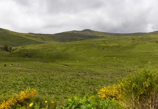 20240615-33 3333-Le Plomb du Cantal vu de Prat de Bouc