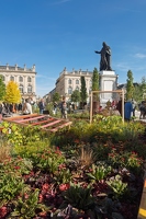 20241013-7895-jardin ephemere nancy