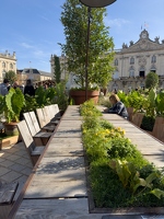 20241013-7898-jardin ephemere nancy
