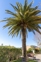 20250114-015 5324-Saint Maxime