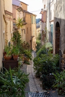 20250115-08 5517-Cogolin
