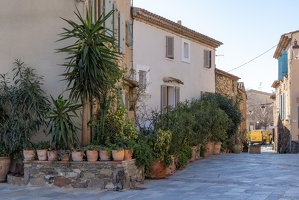 20250115-72 5602-Grimaud