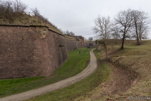 20250206-22 6063-Neuf Brisach