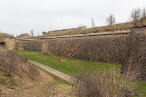 20250206-23 6065-Neuf Brisach