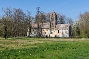 20250406-44 7794-Thaon Eglise Saint Pierre