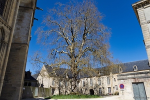 20250407-12 7828-Bayeux