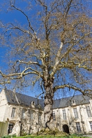 20250407-13 7829-Bayeux