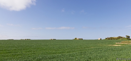 20250409-43 8227-Longues sur Mer Les batteries