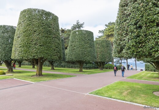 20250409-62 8257-Colleville sur Mer Omaha Beach Cimetiere americain