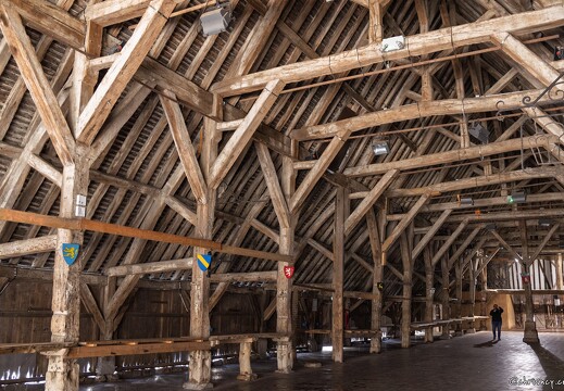 20250410-20 8330-Dives sur Mer