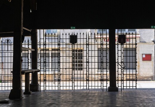 20250410-22 8329-Dives sur Mer